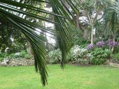 130 Ile de Batz Jardin Georges Delaselle_000006